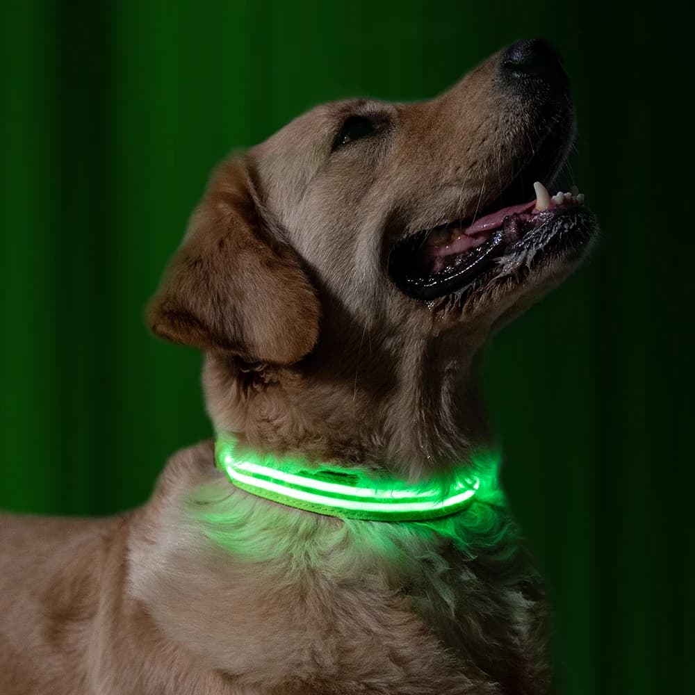 LED Halsband Oplaadbaar Groen 40-50cm DC5 Hilox