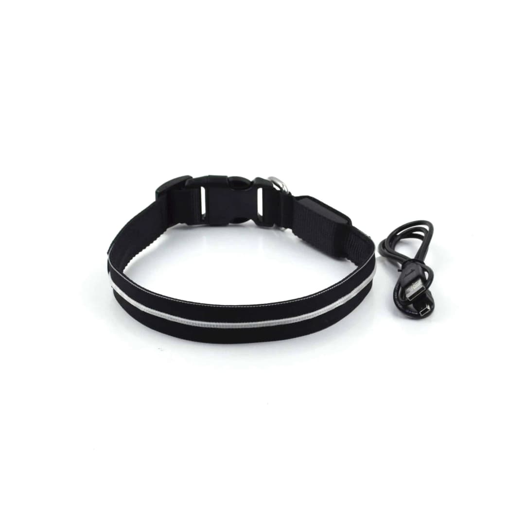 LED Halsband Oplaadbaar Oranje 35-40cm PX4 Hilox