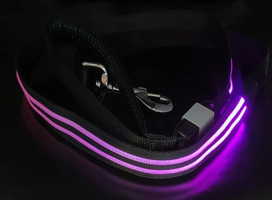 LED Hondenriem