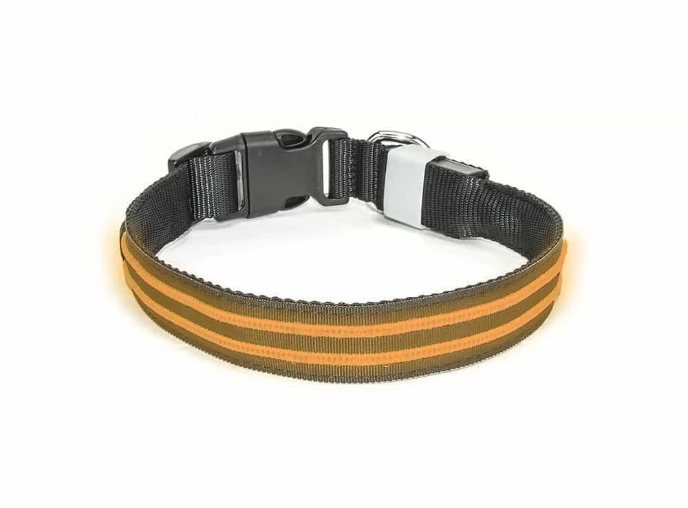 LED Halsband Waterproof Oranje 35-40cm PX1+ Hilox