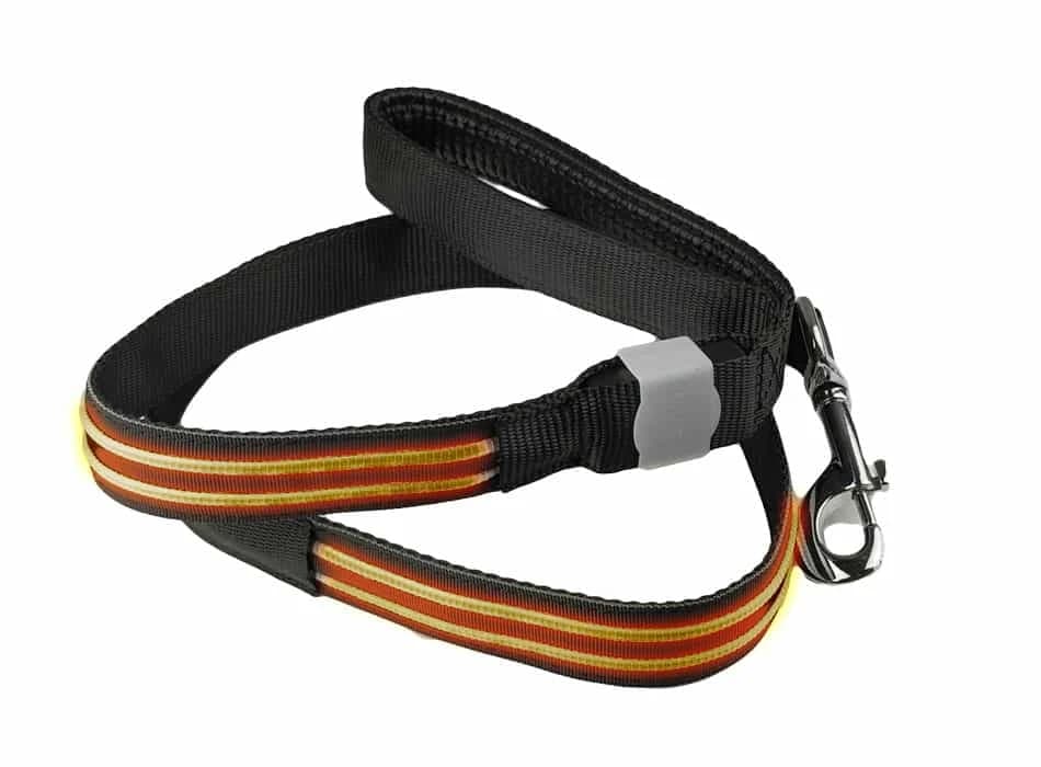 LED Hondenriem PX7 - Oranje Hilox