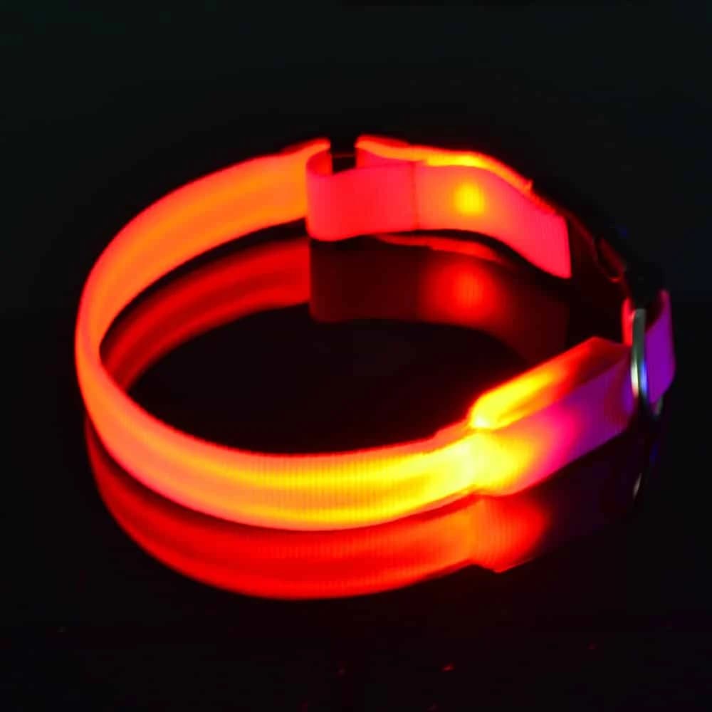 LED Halsband Oplaadbaar Roze 35-40cm PX4 Hilox