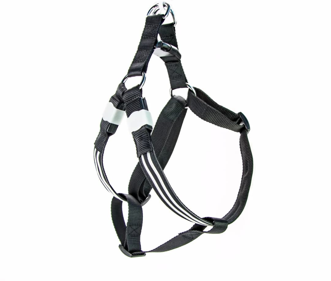 LED Tuigje Oplaadbaar Rood 55cm - M