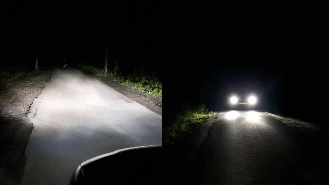 H7 Xenonlamp, Hilox Evolution