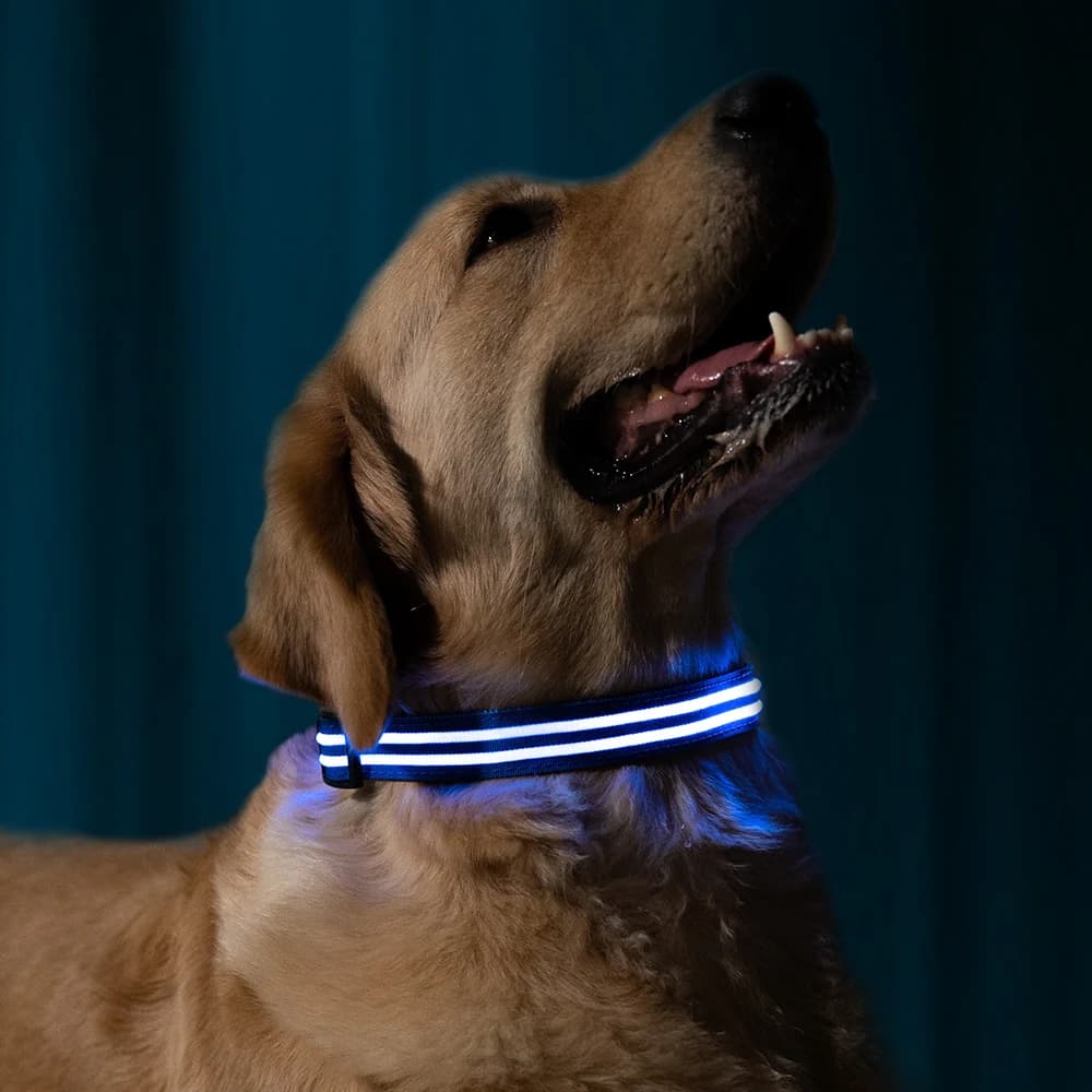 LED Halsband Oplaadbaar Blauw 50-60cm DC5 Hilox