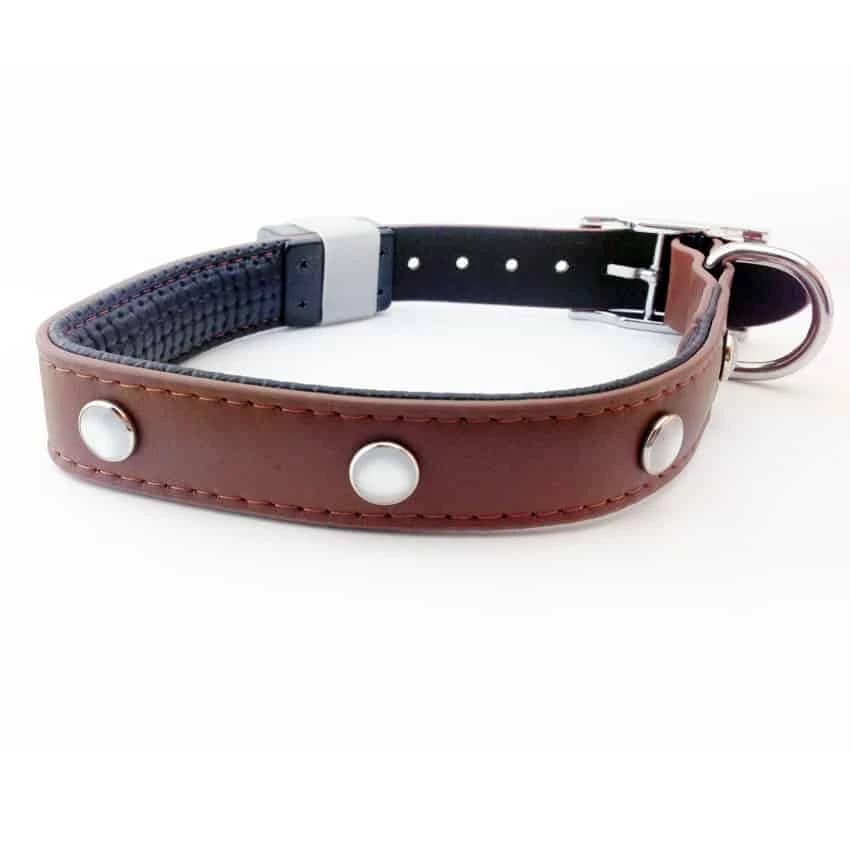 Onze Herder Hera, met de Lederen LED halsband