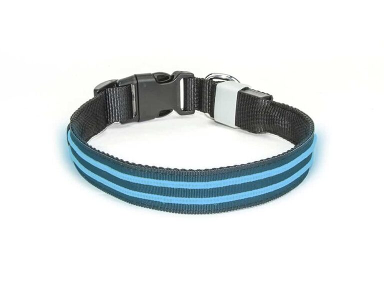 Led Halsband Waterproof Blauw - 50cm Hond