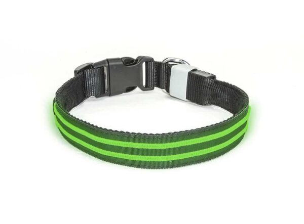 Led Halsband PX1 Groen - 80cm Hond