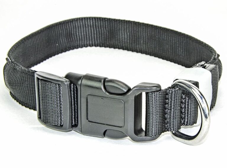 px1 led halsband sluiting 2 19 Woocommerce Test