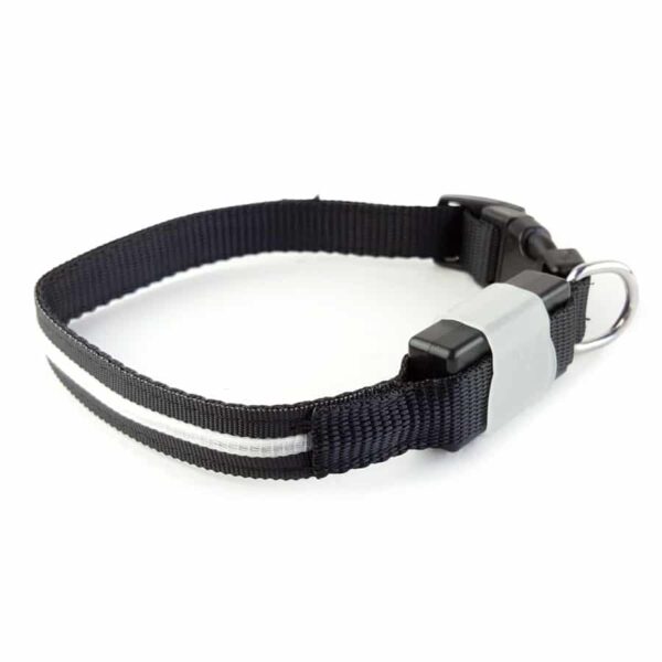 Led Halsband PX4 Oranje - 35cm Hond