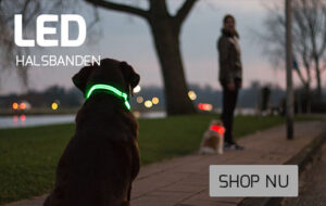 led-halsbanden